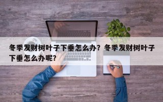 冬季发财树叶子下垂怎么办？冬季发财树叶子下垂怎么办呢？