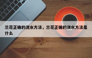 兰花正确的浇水方法，兰花正确的浇水方法是什么