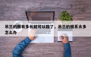 吊兰的根有多长就可以栽了，吊兰的根系太多怎么办