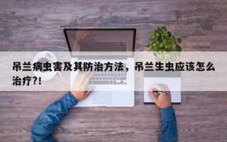 吊兰病虫害及其防治方法，吊兰生虫应该怎么治疗?！