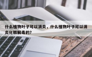 什么植物叶子可以消炎，什么植物叶子可以消炎化脓解毒的？