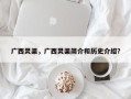 广西灵渠，广西灵渠简介和历史介绍？