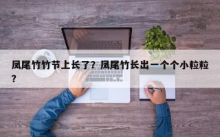 凤尾竹竹节上长了？凤尾竹长出一个个小粒粒？