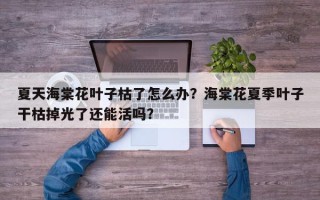 夏天海棠花叶子枯了怎么办？海棠花夏季叶子干枯掉光了还能活吗？