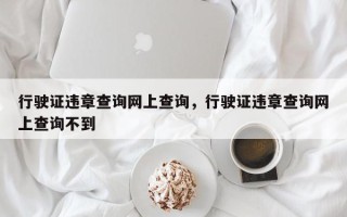 行驶证违章查询网上查询，行驶证违章查询网上查询不到