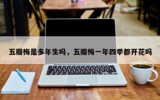 五瓣梅是多年生吗，五瓣梅一年四季都开花吗
