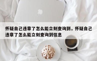 怀疑自己违章了怎么能立刻查询到，怀疑自己违章了怎么能立刻查询到信息