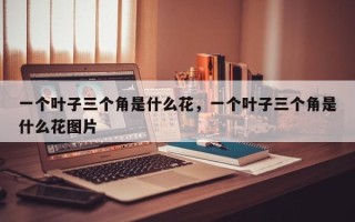 一个叶子三个角是什么花，一个叶子三个角是什么花图片