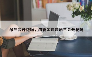 吊兰会开花吗，浓香金娃娃吊兰会开花吗