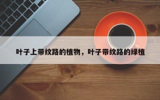 叶子上带纹路的植物，叶子带纹路的绿植