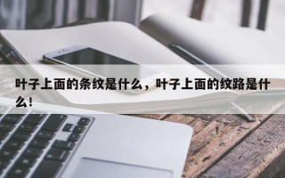 叶子上面的条纹是什么，叶子上面的纹路是什么！