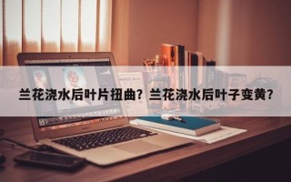 兰花浇水后叶片扭曲？兰花浇水后叶子变黄？