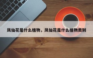 凤仙花是什么植物，凤仙花是什么植物类别