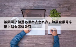 被限号了但是必须出去怎么办，如果被限号车辆上路会怎样处罚
