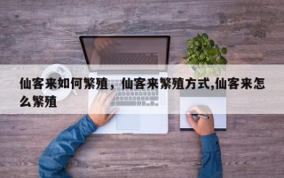 仙客来如何繁殖，仙客来繁殖方式,仙客来怎么繁殖