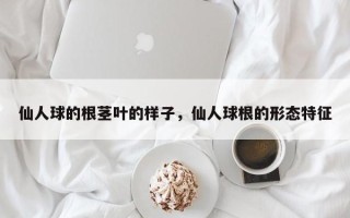仙人球的根茎叶的样子，仙人球根的形态特征
