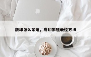 唐印怎么繁殖，唐印繁殖最佳方法