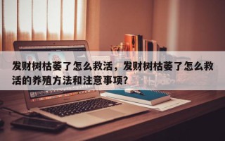 发财树枯萎了怎么救活，发财树枯萎了怎么救活的养殖方法和注意事项？