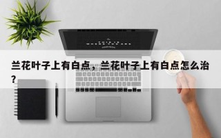 兰花叶子上有白点，兰花叶子上有白点怎么治？