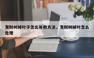 发财树掉叶子怎么补救方法，发财树掉叶怎么处理