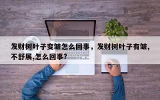 发财树叶子变皱怎么回事，发财树叶子有皱,不舒展,怎么回事?