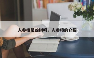 人参榕是凶树吗，人参榕的介绍