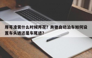 厚萼凌霄什么时候开花？奔驰自动泊车如何设置车头进还是车尾进？