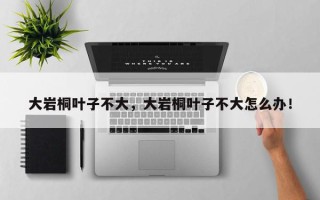 大岩桐叶子不大，大岩桐叶子不大怎么办！
