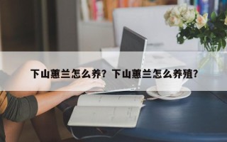 下山蕙兰怎么养？下山蕙兰怎么养殖？