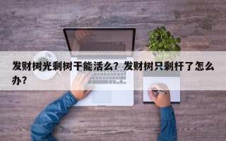 发财树光剩树干能活么？发财树只剩杆了怎么办？
