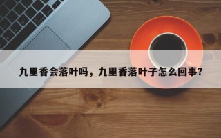 九里香会落叶吗，九里香落叶子怎么回事？