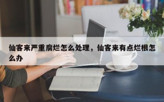 仙客来严重腐烂怎么处理，仙客来有点烂根怎么办