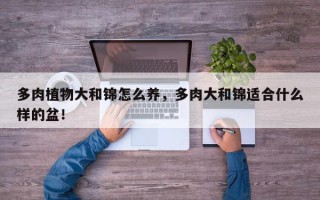 多肉植物大和锦怎么养，多肉大和锦适合什么样的盆！