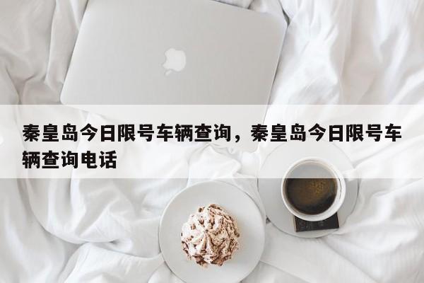 秦皇岛今日限号车辆查询，秦皇岛今日限号车辆查询电话-第1张图片-我家生活百科