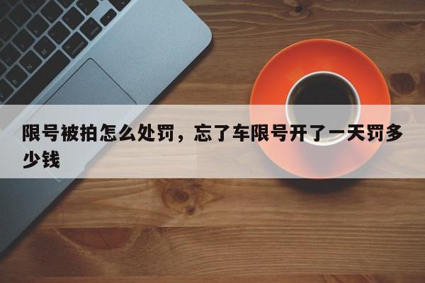 限号被拍怎么处罚，忘了车限号开了一天罚多少钱-第1张图片-我家生活百科