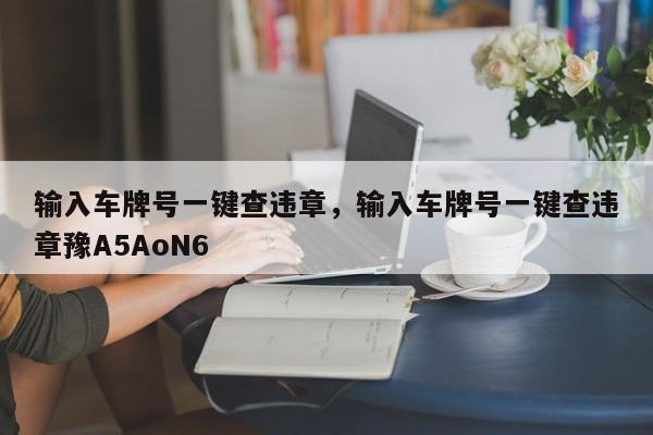 输入车牌号一键查违章，输入车牌号一键查违章豫A5AoN6-第1张图片-我家生活百科