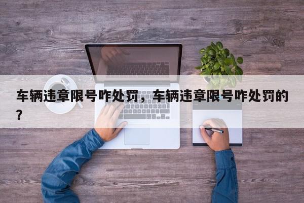 车辆违章限号咋处罚，车辆违章限号咋处罚的？-第1张图片-我家生活百科