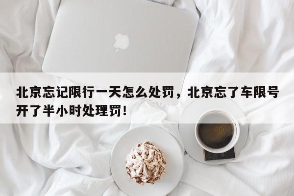 北京忘记限行一天怎么处罚，北京忘了车限号开了半小时处理罚！-第1张图片-我家生活百科