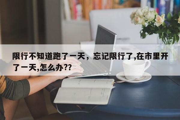限行不知道跑了一天,忘记限行了,在市里开了一天,怎么办??-第1张图片-我家生活百科 限行不知道跑了一天,忘记限行了,在市里开了一天,怎么办??-第1张图片-我家生活百科