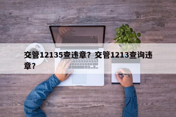 交管12135查违章？交管1213查询违章？-第1张图片-我家生活百科