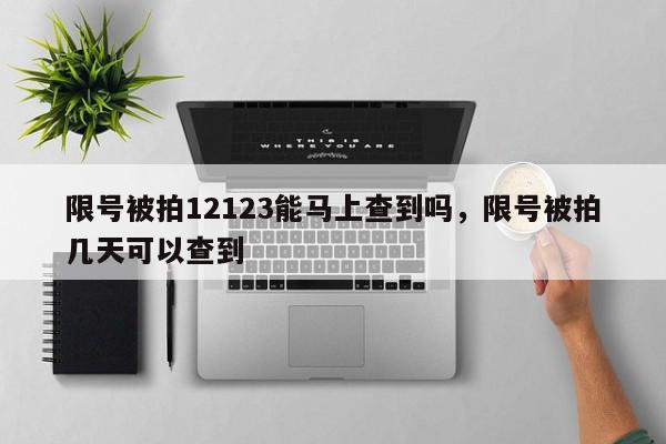 限号被拍12123能马上查到吗，限号被拍几天可以查到-第1张图片-我家生活百科