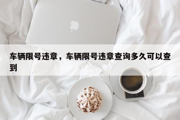 车辆限号违章，车辆限号违章查询多久可以查到-第1张图片-我家生活百科