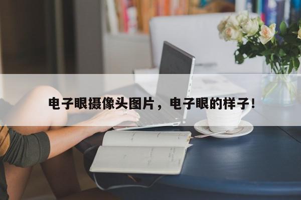 电子眼摄像头图片，电子眼的样子！-第1张图片-我家生活百科
