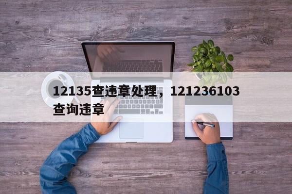 12135查违章处理，121236103查询违章-第1张图片-我家生活百科