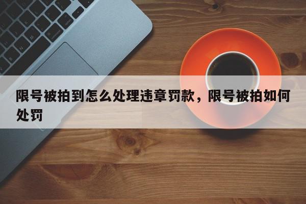 限号被拍到怎么处理违章罚款，限号被拍如何处罚-第1张图片-我家生活百科