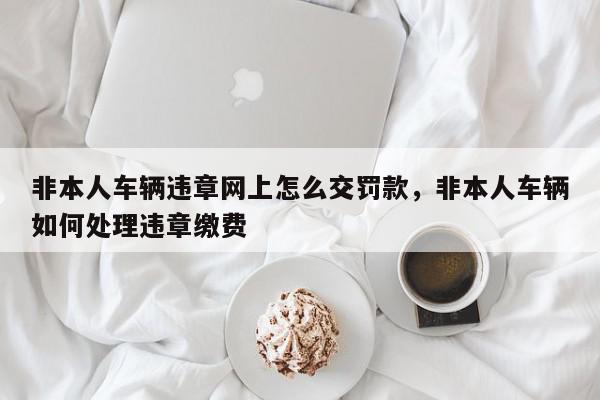 非本人车辆违章网上怎么交罚款，非本人车辆如何处理违章缴费-第1张图片-我家生活百科