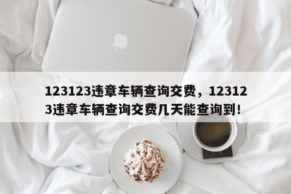 123123违章车辆查询交费,123123违章车辆查询交费几天能查询到!-第1张图片-我家生活百科 123123违章车辆查询交费,123123违章车辆查询交费几天能查询到!-第1张图片-我家生活百科