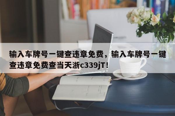 输入车牌号一键查违章免费，输入车牌号一键查违章免费查当天浙c339jT！-第1张图片-我家生活百科