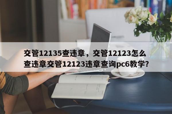 交管12135查违章，交管12123怎么查违章交管12123违章查询pc6教学？-第1张图片-我家生活百科