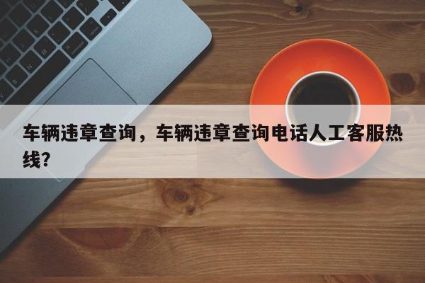 车辆违章查询，车辆违章查询电话人工客服热线？-第1张图片-我家生活百科